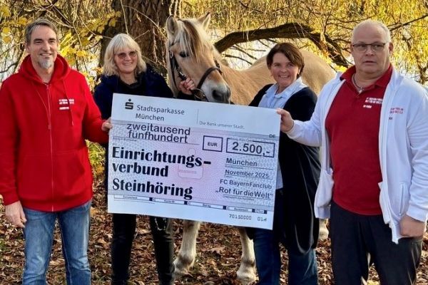 Zwei neue Therapiepferde dank großzügiger Unterstützung