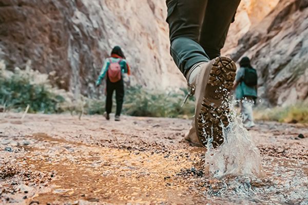 Activity-Challenge: Siegerteams stehen fest – mit beachtlichen Leistungen