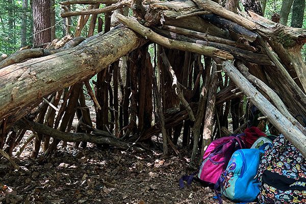 „Ich war noch nie in einem echten Wald“: Ferienprogramm mit Mehrwert