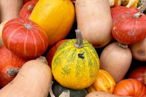 Einladung zum Moossteffler Herbstmarkt in Ebersberg